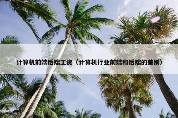 计算机前端后端工资（计算机行业前端和后端的差别）
