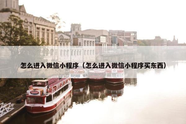 怎么进入微信小程序（怎么进入微信小程序买东西）