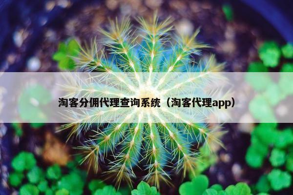 淘客分佣代理查询系统（淘客代理app）