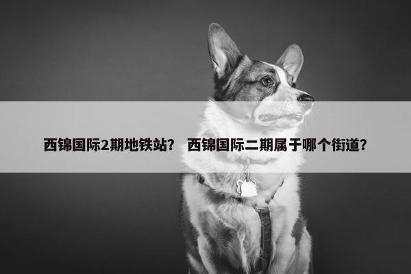 西锦国际2期地铁站？ 西锦国际二期属于哪个街道？