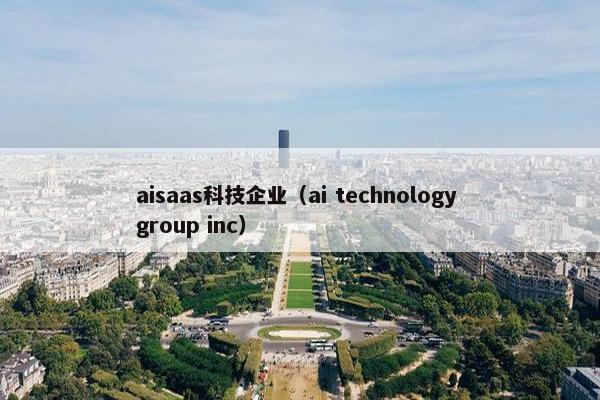 aisaas科技企业（ai technology group inc）