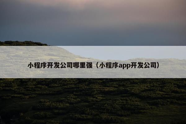 小程序开发公司哪里强（小程序app开发公司）