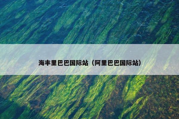 海丰里巴巴国际站（阿里巴巴国际站）