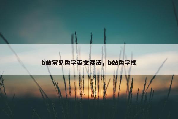 b站常见哲学英文读法，b站哲学梗