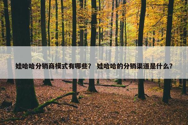 娃哈哈分销商模式有哪些？ 娃哈哈的分销渠道是什么？