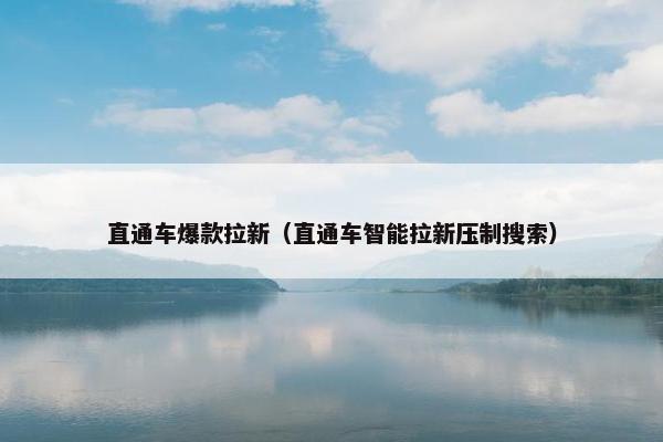 直通车爆款拉新（直通车智能拉新压制搜索）