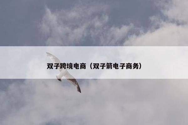 双子跨境电商（双子箭电子商务）
