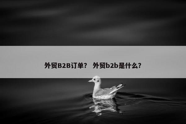 外贸B2B订单？ 外贸b2b是什么？