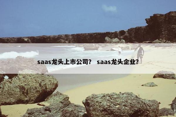 saas龙头上市公司？ saas龙头企业？