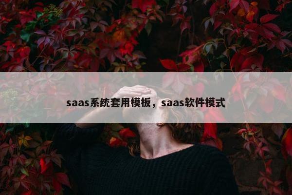 saas系统套用模板，saas软件模式