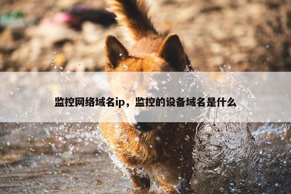 监控网络域名ip，监控的设备域名是什么