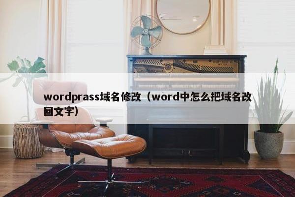 wordprass域名修改（word中怎么把域名改回文字）