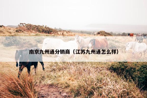 南京九州通分销商（江苏九州通怎么样）