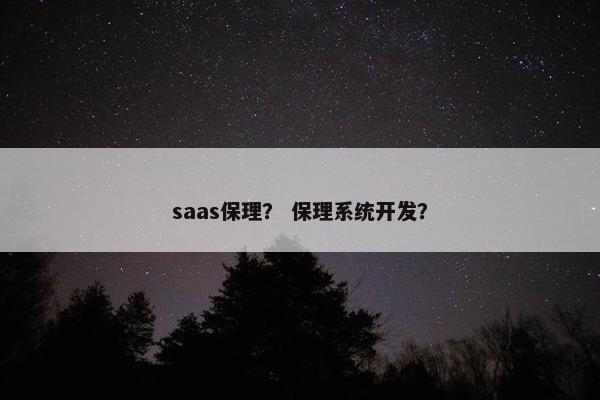 saas保理？ 保理系统开发？