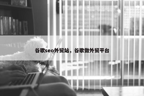 谷歌seo外贸站，谷歌做外贸平台