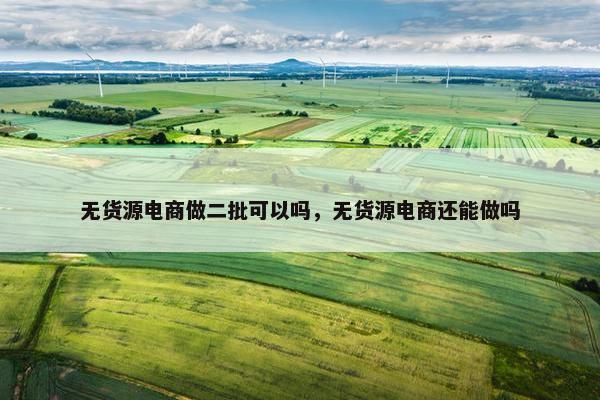 无货源电商做二批可以吗，无货源电商还能做吗