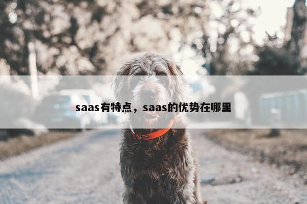 saas有特点，saas的优势在哪里