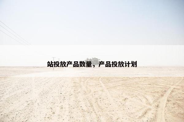 站投放产品数量，产品投放计划