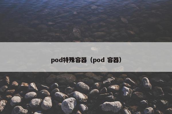 pod特殊容器（pod 容器）