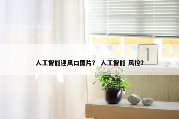 人工智能迎风口图片？ 人工智能 风控？