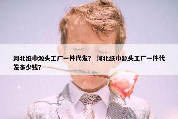 河北纸巾源头工厂一件代发？ 河北纸巾源头工厂一件代发多少钱？