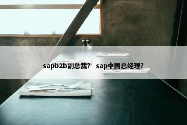 sapb2b副总裁？ sap中国总经理？