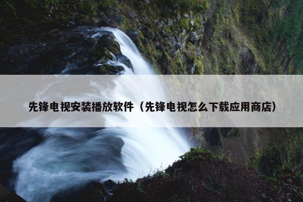 先锋电视安装播放软件（先锋电视怎么下载应用商店）