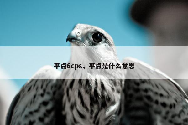 平点6cps，平点是什么意思