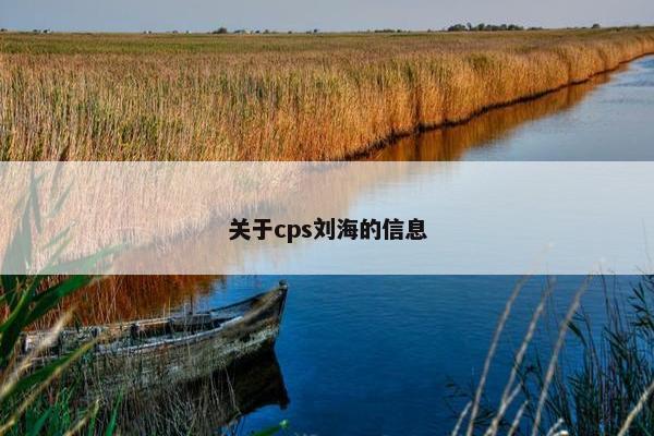 关于cps刘海的信息 关于cps刘海的信息
