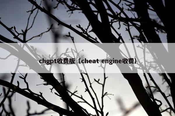 chgpt收费版（cheat engine收费）