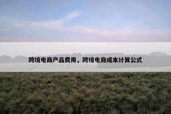 跨境电商产品费用，跨境电商成本计算公式