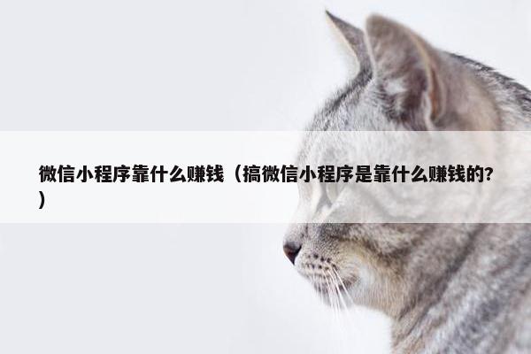 微信小程序靠什么赚钱（搞微信小程序是靠什么赚钱的?）