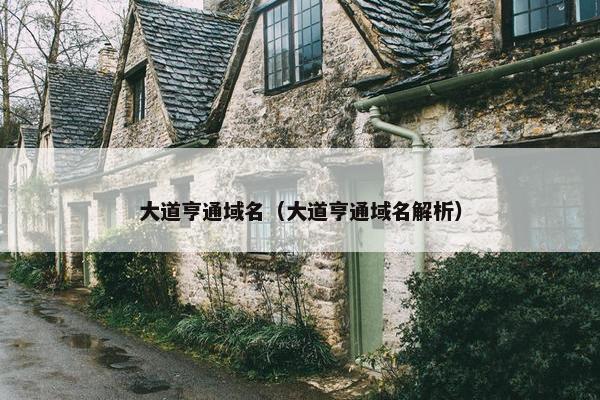 大道亨通域名（大道亨通域名解析）