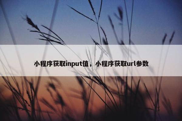 小程序获取input值，小程序获取url参数