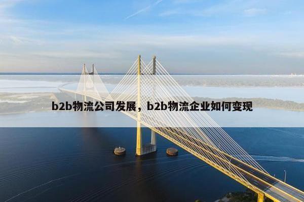 b2b物流公司发展，b2b物流企业如何变现