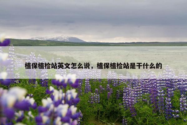 植保植检站英文怎么说，植保植检站是干什么的
