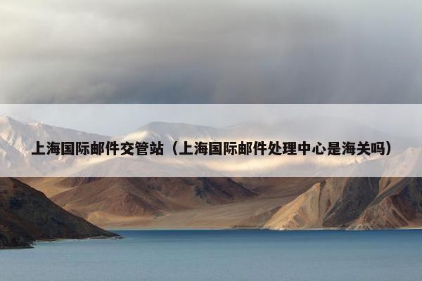 上海国际邮件交管站（上海国际邮件处理中心是海关吗）