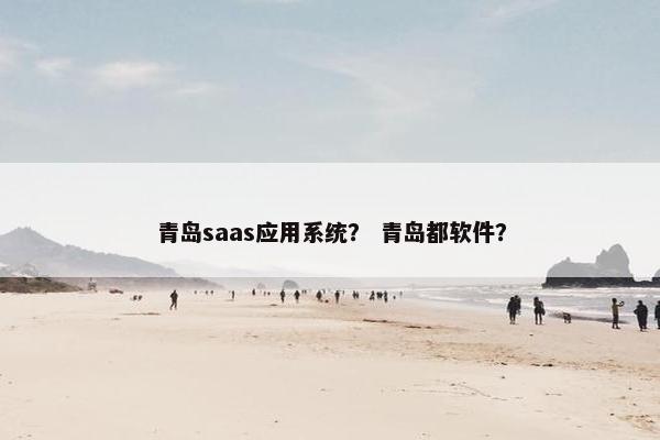 青岛saas应用系统？ 青岛都软件？