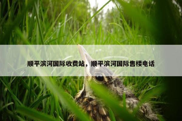 顺平滨河国际收费站，顺平滨河国际售楼电话