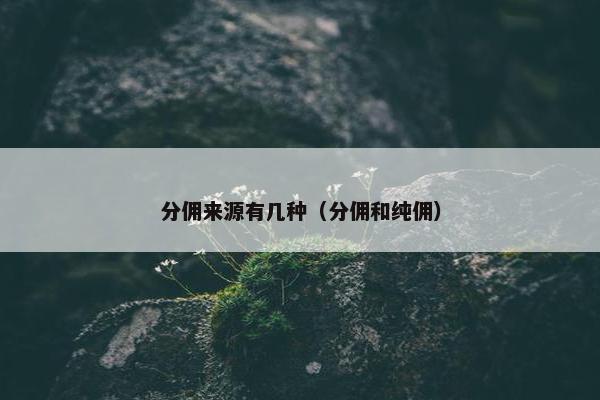 分佣来源有几种（分佣和纯佣）