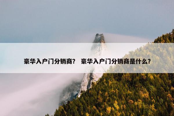 豪华入户门分销商？ 豪华入户门分销商是什么？