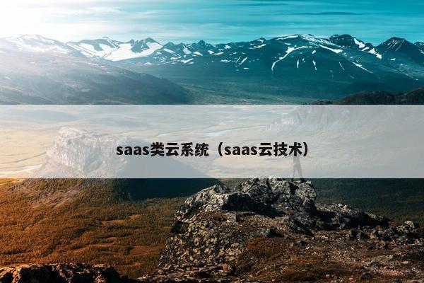 saas类云系统（saas云技术）