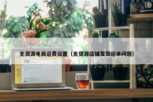 无货源电商运费设置（无货源店铺发货运单问题）