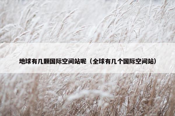 地球有几颗国际空间站呢（全球有几个国际空间站）