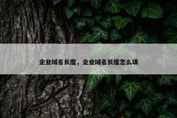 企业域名长度，企业域名长度怎么填