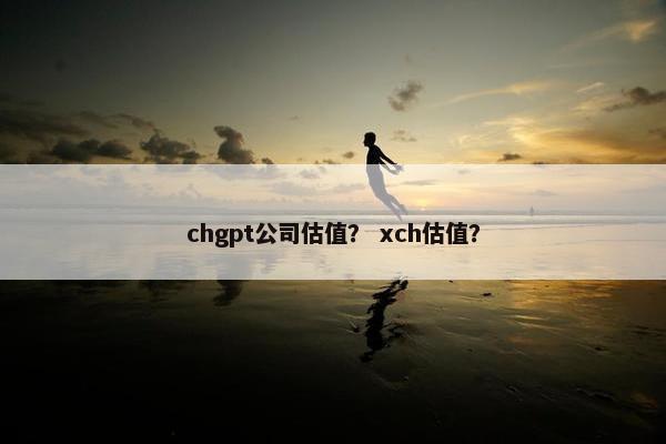 chgpt公司估值？ xch估值？