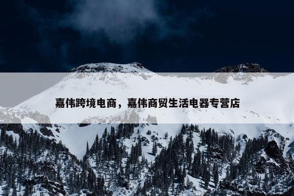 嘉伟跨境电商，嘉伟商贸生活电器专营店