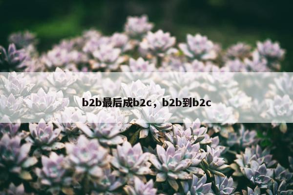 b2b最后成b2c，b2b到b2c