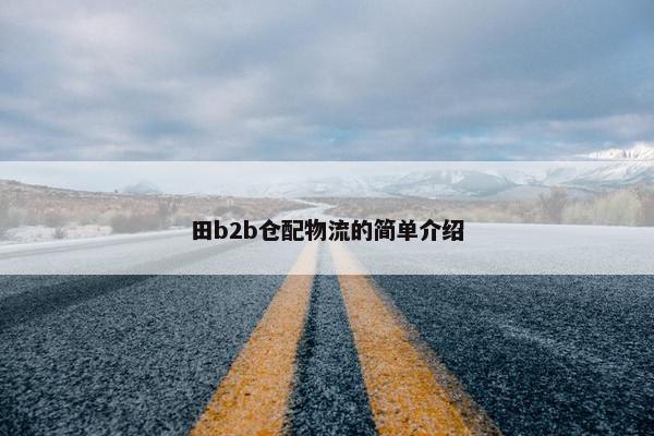 田b2b仓配物流的简单介绍