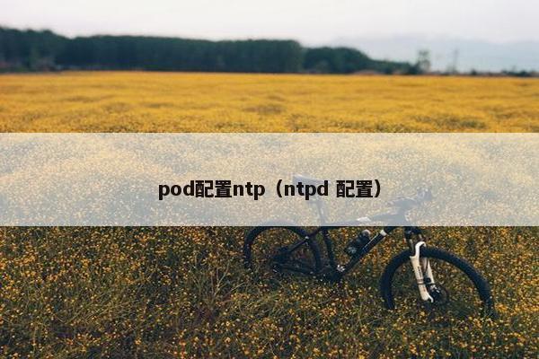 pod配置ntp（ntpd 配置）